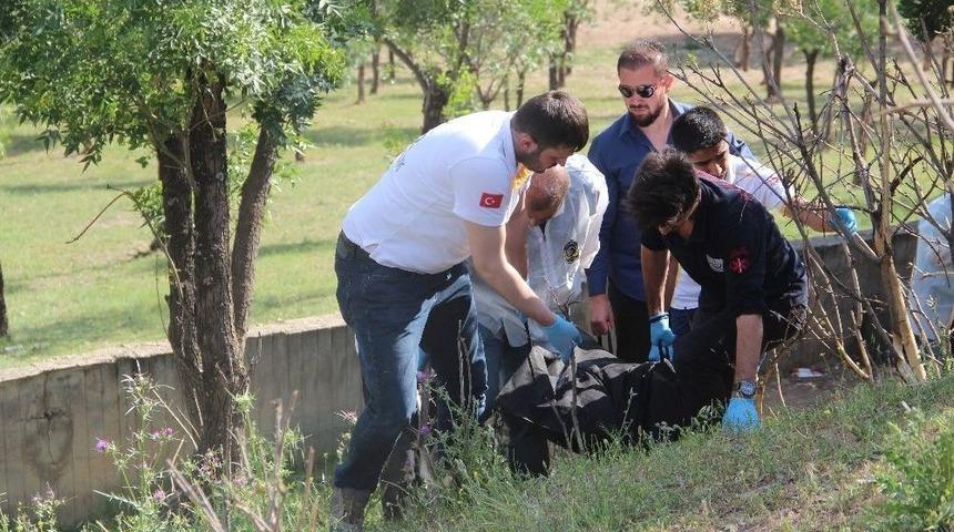Batman’da Ağaca Asılı Ceset Bulundu