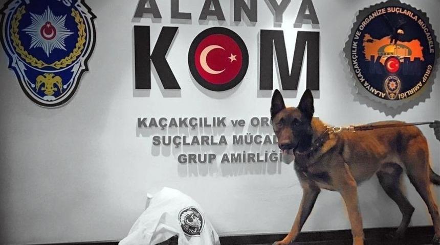 Otomobildeki Uyuşturucu Polis K&ouml;peği &rsquo;esco&rsquo;ya Takıldı