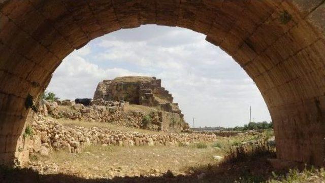 Mardin'deki 1400 Yıllık Galeri Mezarlık Ilk Defa Ziyaretçilere Açıldı