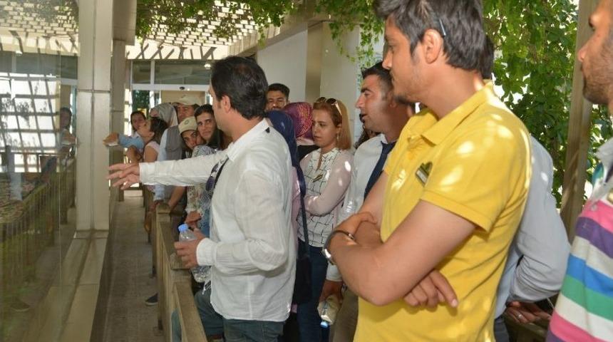 Turistik Alanlarda &Ccedil;alışan Personele Eğitim