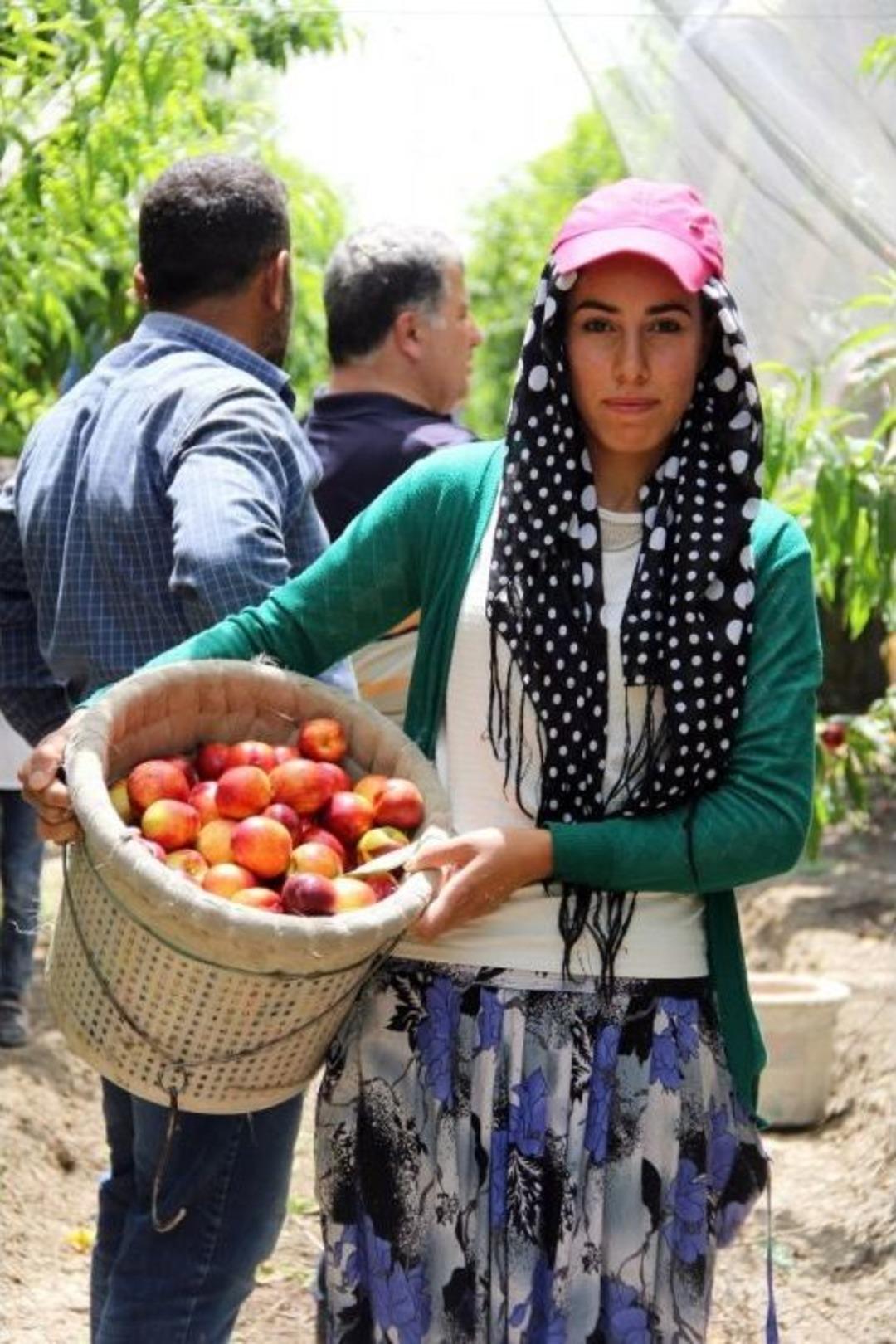 (&ouml;zel Haber) Ekmek Parası İ&ccedil;in Gece 03.30&rsquo;da Kalkıp Yollara D&uuml;ş&uuml;yorlar