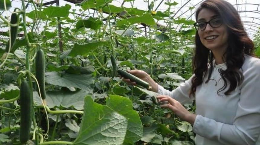 İnternet &Uuml;zerinden Salatalık Satıyor