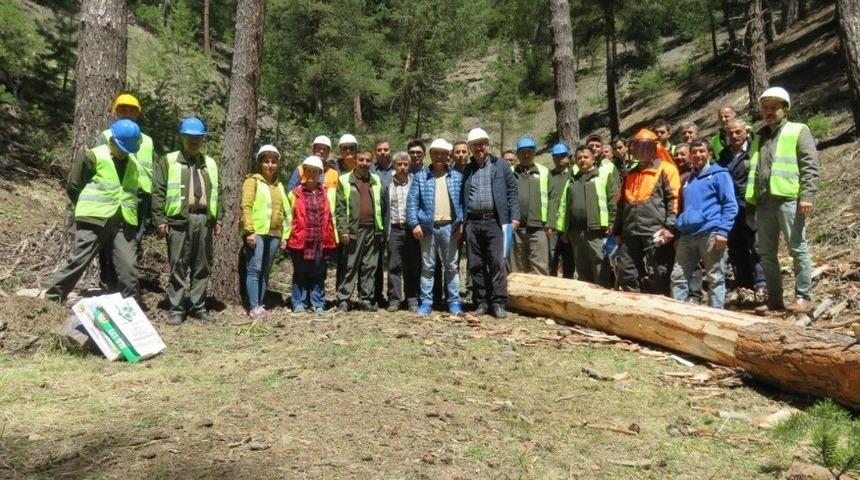 Ormanda &Uuml;retim Tatbikatı Yapıldı