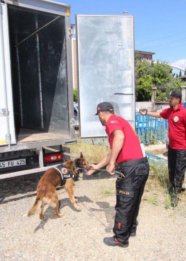 Polis, Eğiteceği Köpeği Doğumda Seçiyor