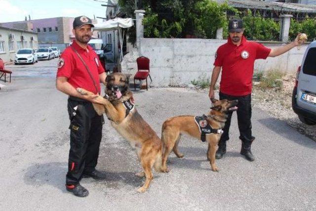 Polis, Eğiteceği Köpeği Doğumda Seçiyor