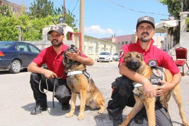 Polis, Eğiteceği Köpeği Doğumda Seçiyor