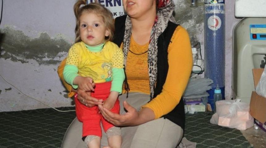 Şırnaklı Arjin Yardım Bekliyor