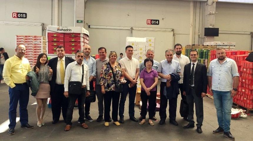 Baib, &Ccedil;inlilere T&uuml;rk Kirazını Tanıttı