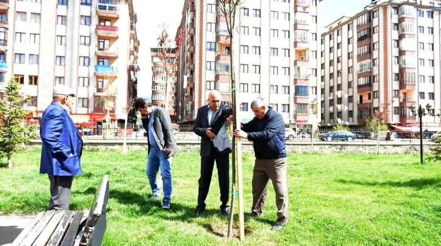 Korkut, &Ccedil;ocukların İlgi Odağında