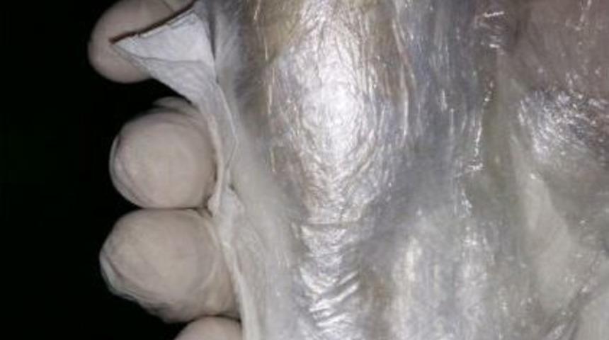 Kırklareli&rsquo;de Uyuşturucu Operasyonu: 3 G&ouml;zaltı