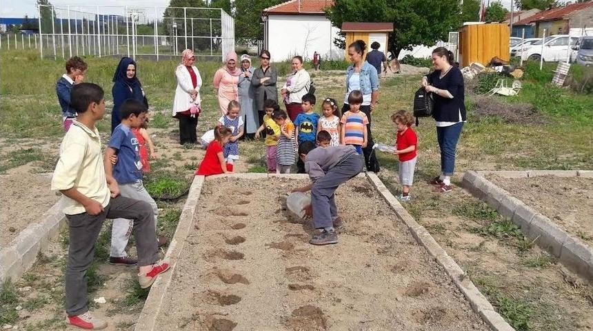 "şenlikle Toplum" &Ccedil;ocukları Fidan Dikti
