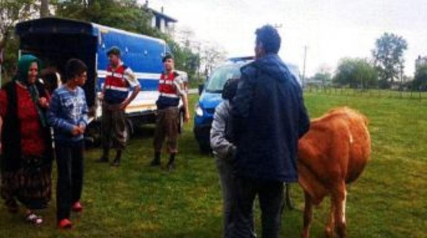 Hayvan Hırsızları Jandarmadan Ka&ccedil;amadı