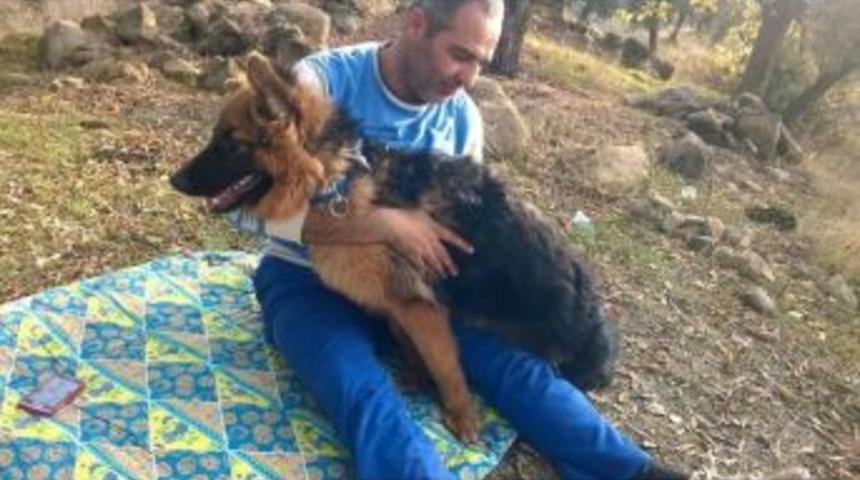 Aydın&rsquo;da Trafik Kazası: 1 Kişi &Ouml;ld&uuml;