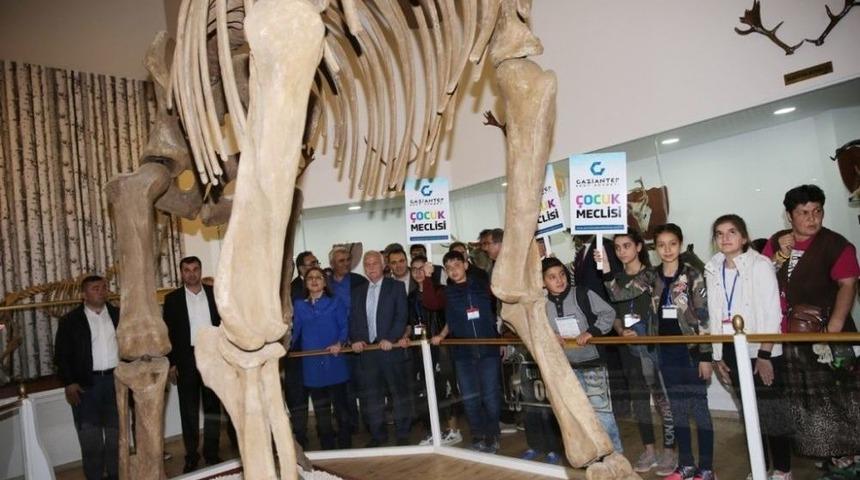 T&uuml;rkiye&rsquo;nin Tek Zooloji Ve Doğa M&uuml;zesine Yoğun İlgi