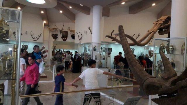 Türkiye’nin Tek Zooloji Ve Doğa Müzesine Yoğun İlgi