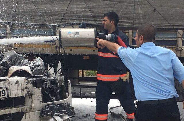 Mardin’de İki Tır Çarpıştı: 2 Yaralı