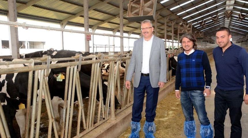 Başkan &Ouml;zkan&rsquo;dan D&uuml;nya S&uuml;t Haftası&rsquo;nda Anlamlı Mesaj