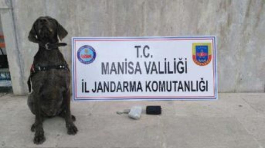 Otob&uuml;s&uuml;n Ikram Dolabından Esrar &Ccedil;ıktı