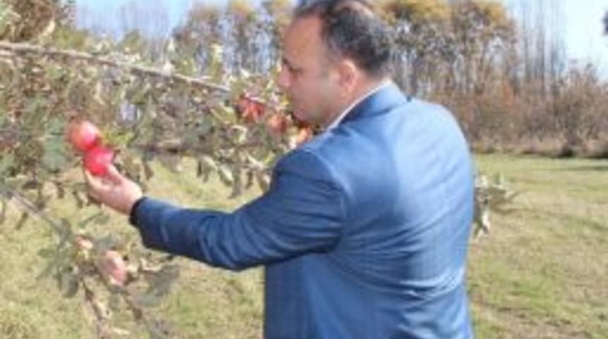 Tarım M&uuml;d&uuml;r&uuml; Yolcu &Ccedil;ift&ccedil;ileri Uyardı