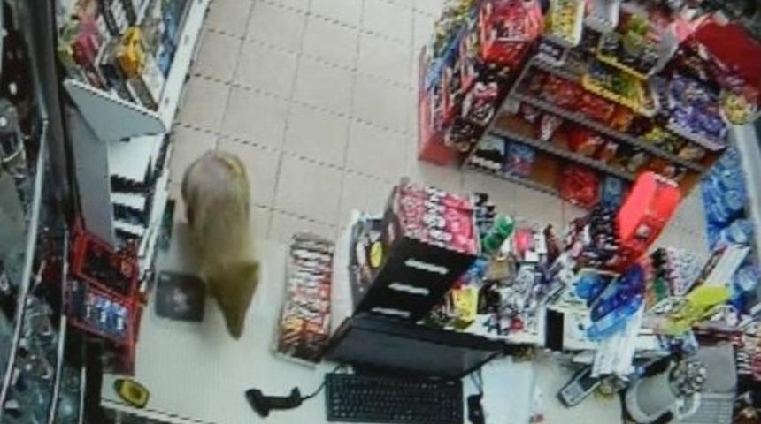 Markete Giren &Ccedil;akal B&ouml;yle G&ouml;r&uuml;nt&uuml;lendi