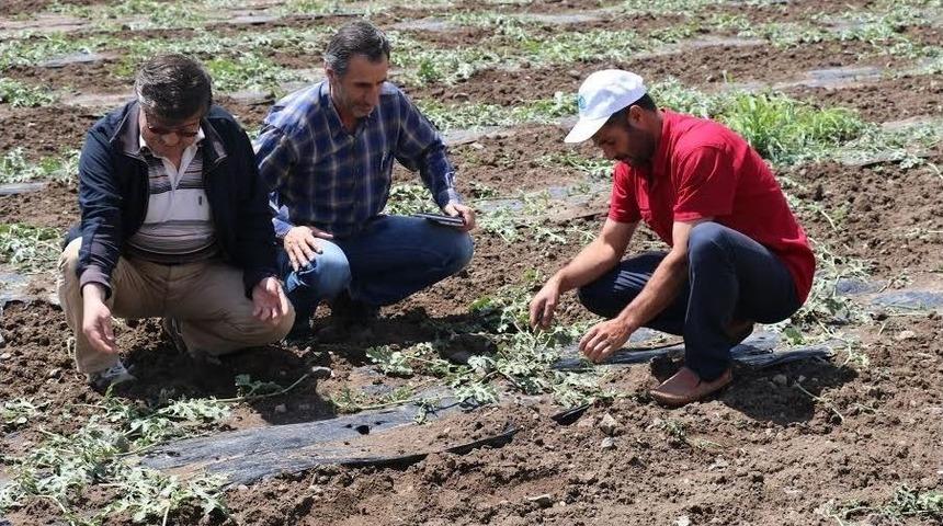 Dolu Elazığ’ın 82 Köyünde Zarara Yol Açtı