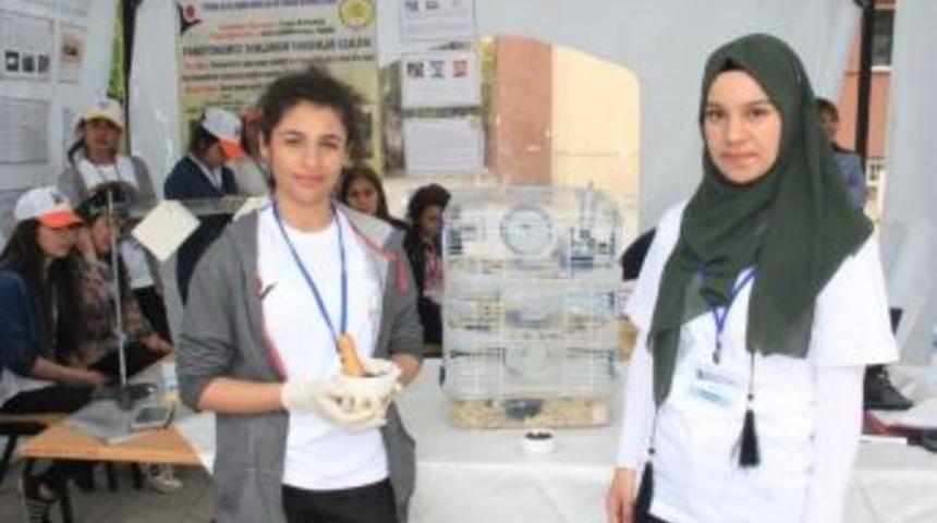 Hakkarili &Ouml;ğrenciler Sa&ccedil;kıran Hastalığına &Ccedil;are Buldu