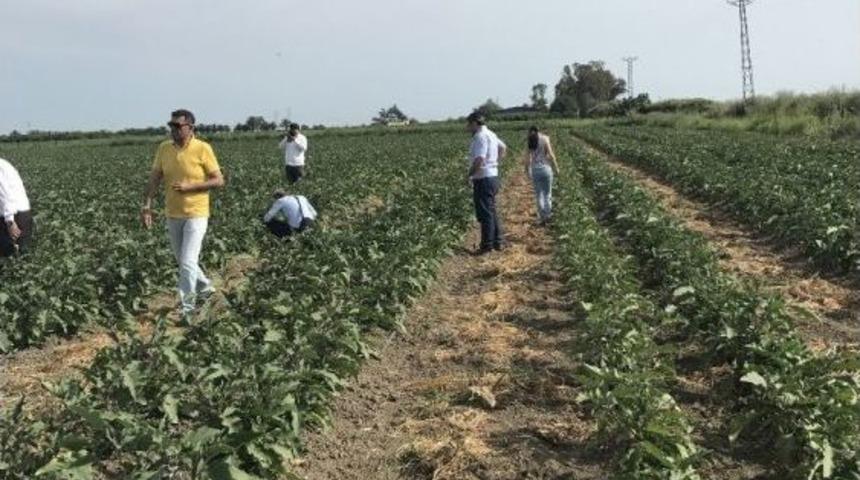 Rus Denetim Uzmanları, T&uuml;rkiye&rsquo;deki &Uuml;retim Sahalarını İnceledi