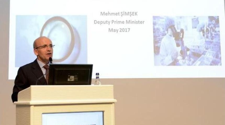 Başbakan Yardımcısı Şimşek: Ab Katılım Yoluna Devam Etmeliyiz
