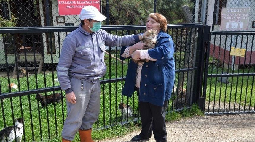 Osmangazi&rsquo;de Sokak Hayvanları Sahipsiz Kalmıyor
