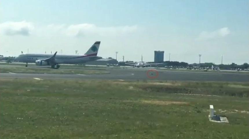 Atat&uuml;rk Havalimanı Trafiğini Alt &Uuml;st Eden K&ouml;pek Kamerada