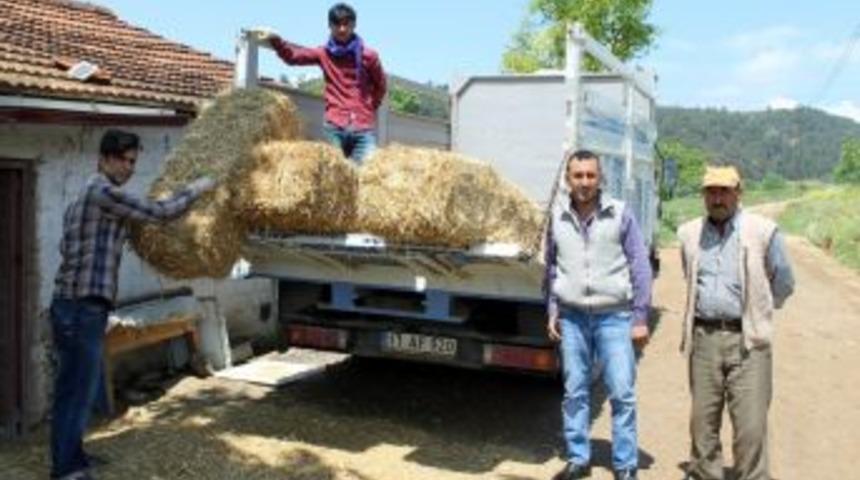 Saman Fiyatları Cep Yakıyor