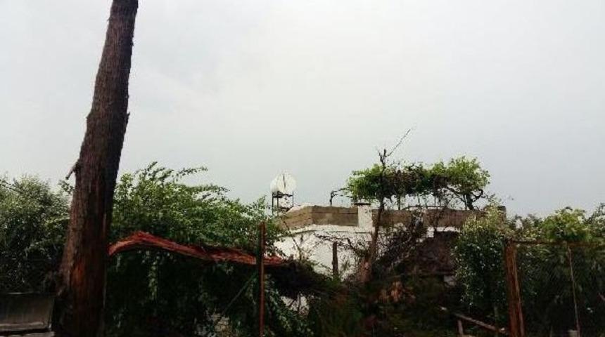 Fırtına Ağacı Devirdi, 4 Kişi Evde Mahsur Kaldı