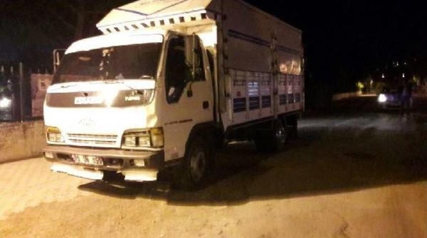 K&ouml;peğini Evinin Bah&ccedil;esine Sokmaya &Ccedil;alışırken Kamyon &Ccedil;arpıp &Ouml;ld&uuml;