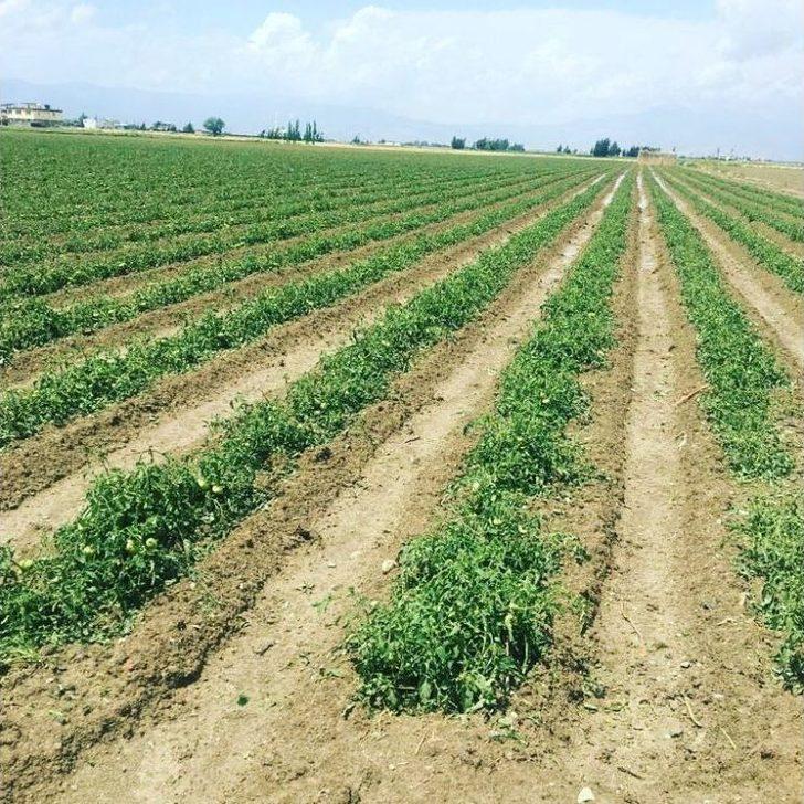 Hatay’a Fındık Büyüklüğünde Dolu Yağdı G2