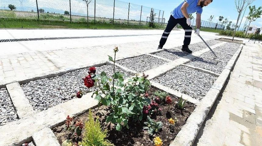 B&uuml;y&uuml;kşehir Sokak Hayvanlarının Hatırasını Yaşatıyor