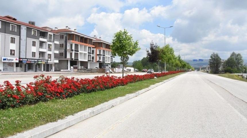 D&uuml;zce Rengarenk Hale Geldi