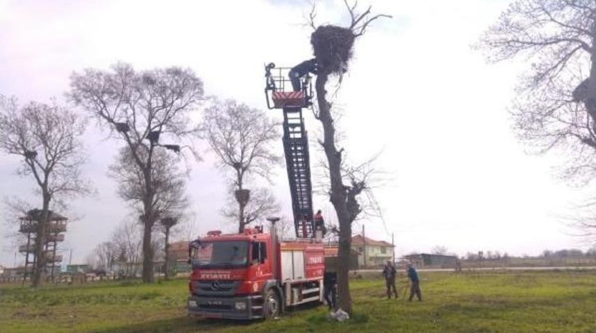 'leylek K&ouml;y&uuml;'ne Fotokapan Yerleştirildi