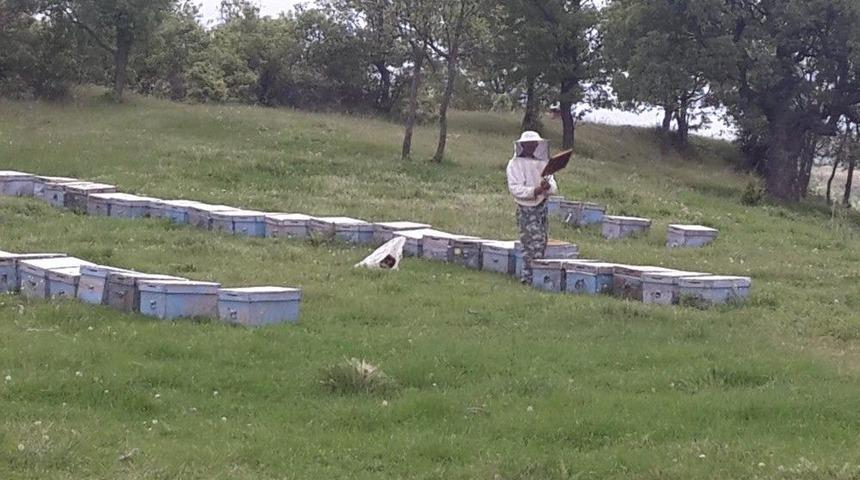 Arıcılan Pazarlar&rsquo;ı Tercih Ediyor