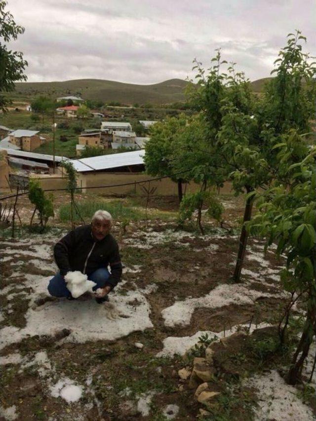 Darende De Etkili Olan Dolu Yağışı Tarım Arazilerine Zarar Verdi