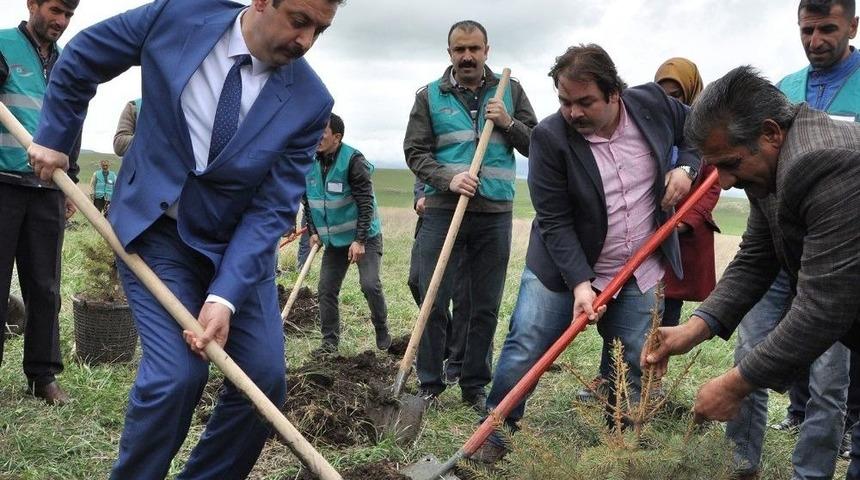 Kars Denetimli Serbestlik M&uuml;d&uuml;rl&uuml;ğ&uuml; Hatıra Ormanı Oluşturdu