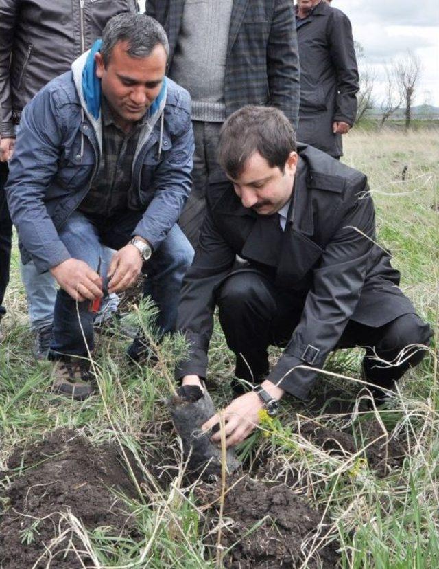 Kars Denetimli Serbestlik Müdürlüğü Hatıra Ormanı Oluşturdu