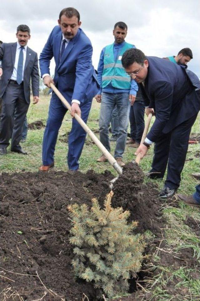 Kars Denetimli Serbestlik Müdürlüğü Hatıra Ormanı Oluşturdu