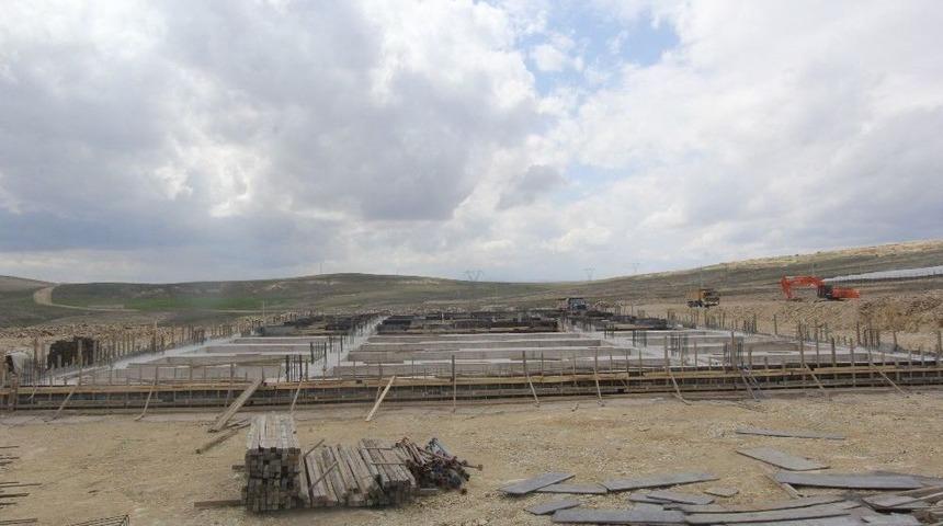 Yeni Hayvan Satış Pazarı Ve Mezbahanenin Yapımına Başlandı