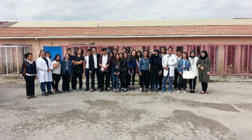 &Ouml;ğrenciler Sokak Hayvanlarını Yakından Tanıdı