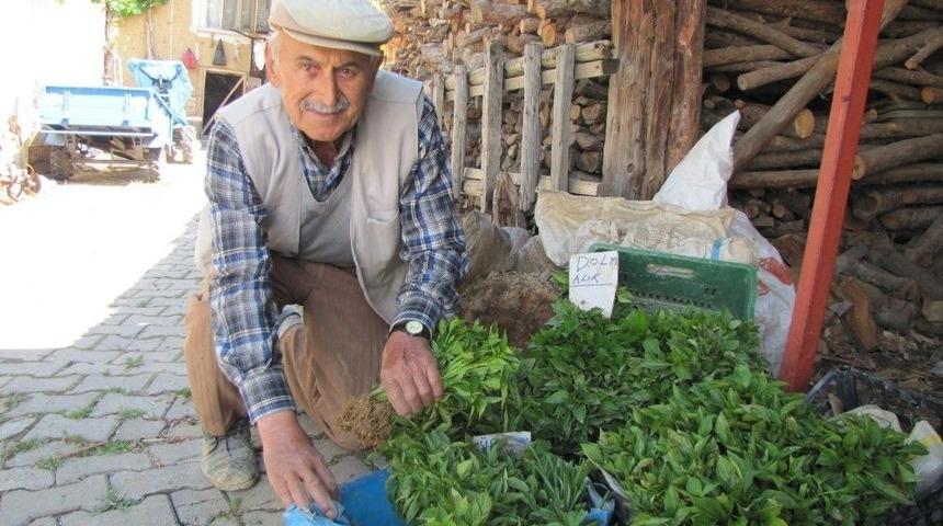 Hisarcık&rsquo;ın Sebze Fidesi İhtiyacını Hasanlar K&ouml;y&uuml; Karşılıyor