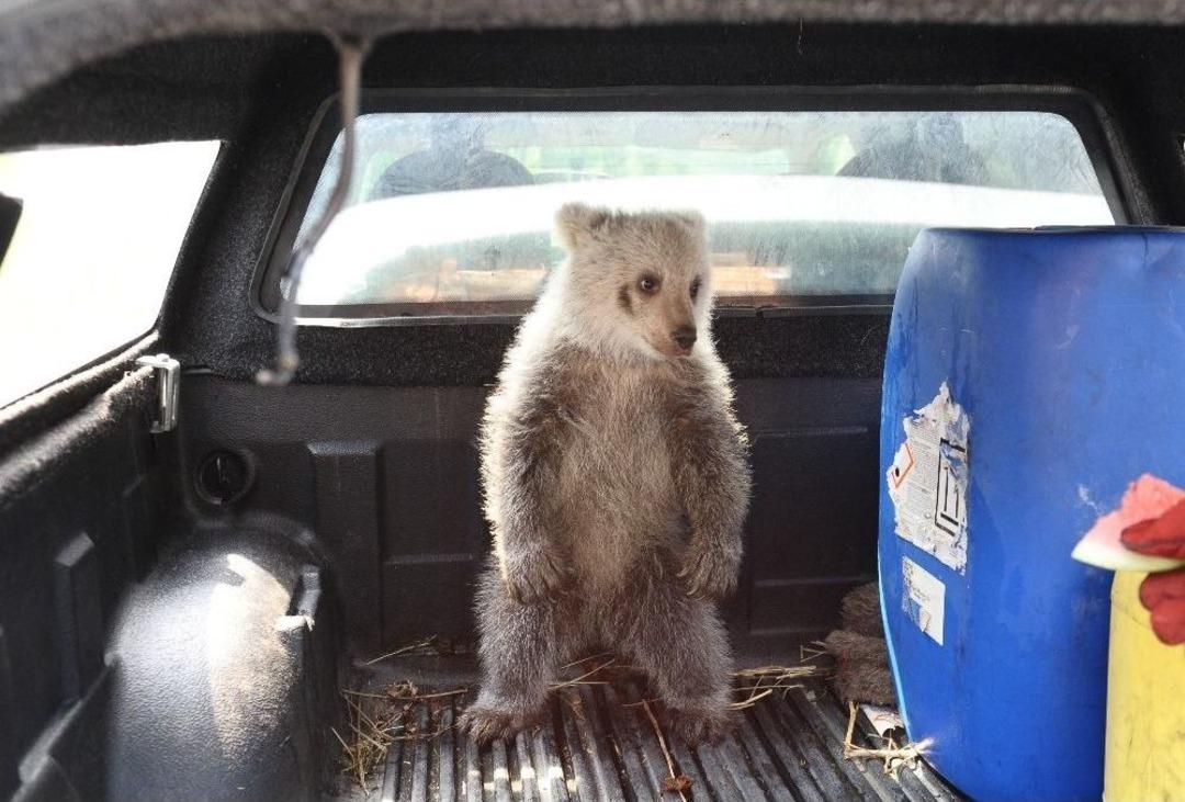 &rsquo;gece&rsquo; Yuvasına Kavuştu