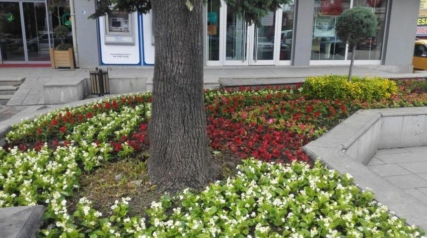 Sungurlu &Ccedil;i&ccedil;ek A&ccedil;tı