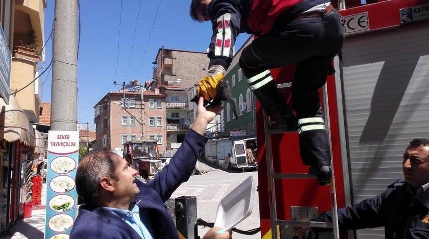 Hisarcık İtfaiyesinden Yavru Kedi Kurtarma Operasyonu