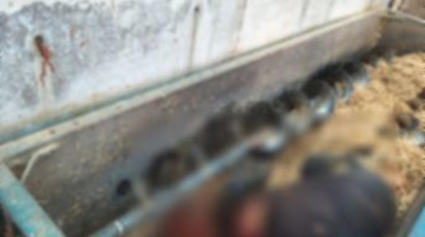 Yem Makinesine D&uuml;şen Adam Feci Şekilde Can Verdi