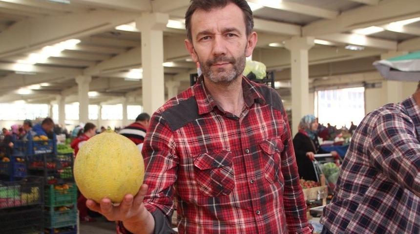 Yazlık Kavun Tezgahlara Renk Getirdi